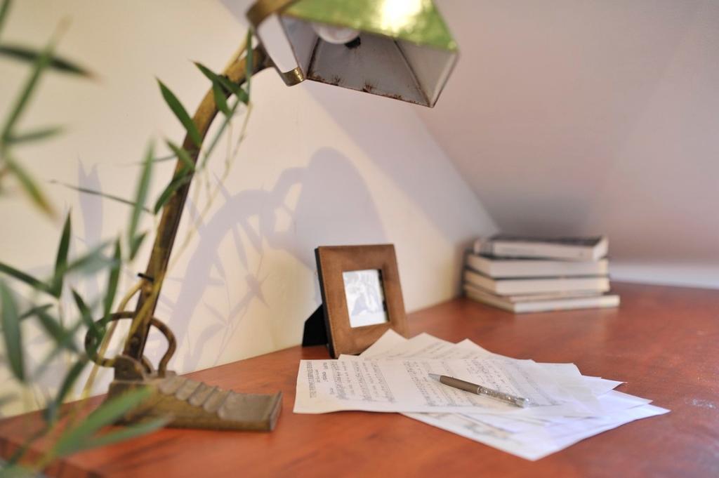 Apartment Flower دوبروفينك المظهر الخارجي الصورة