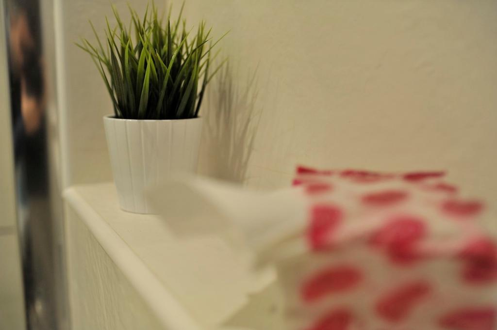 Apartment Flower دوبروفينك المظهر الخارجي الصورة